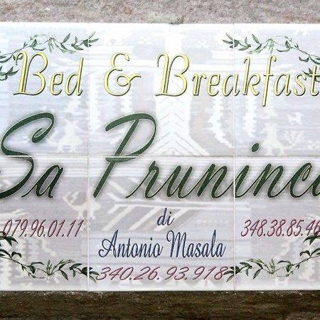 Bed and Breakfast Sa Pruninca Villanova Monteleone Екстер'єр фото